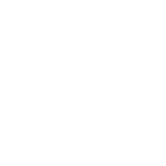 Ultra-premium polymeric vinyl icon