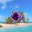 Crystal Rock